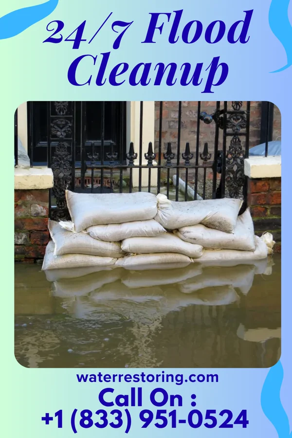24/7 Flood Cleanup in Turkey, NC