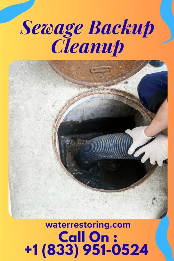 Sewage Backup Cleanup in Turkey, NC