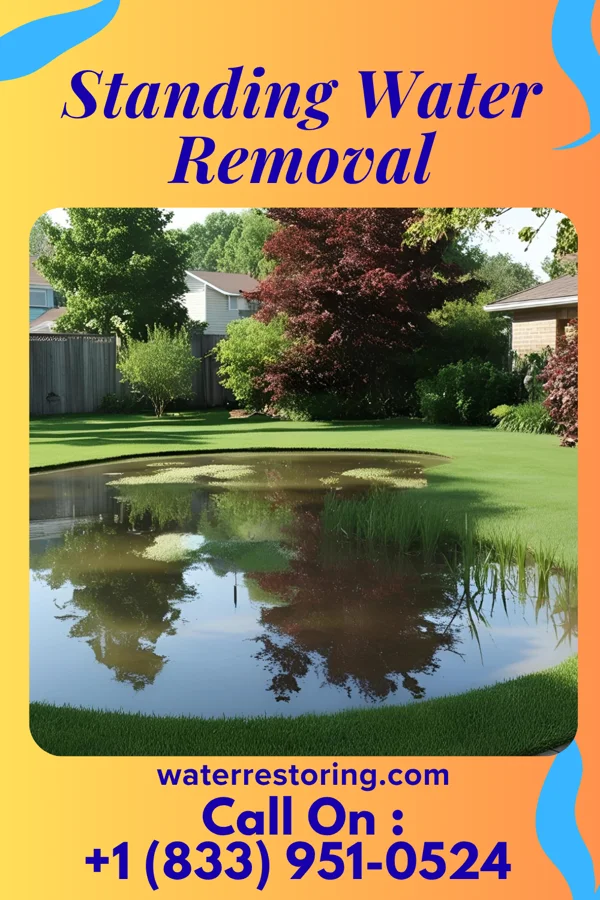 Standing Water Removal in Turkey, NC